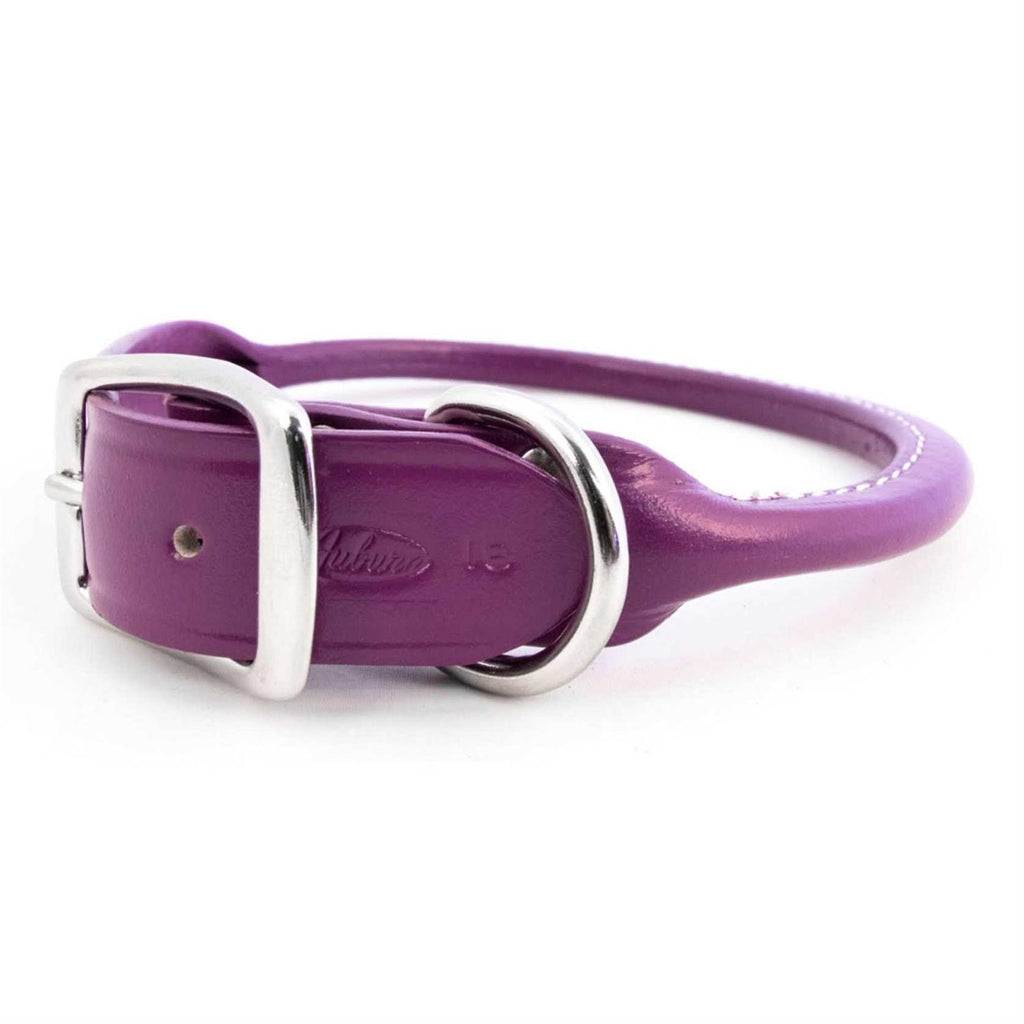 Leather Rolled Dog Collar A19880