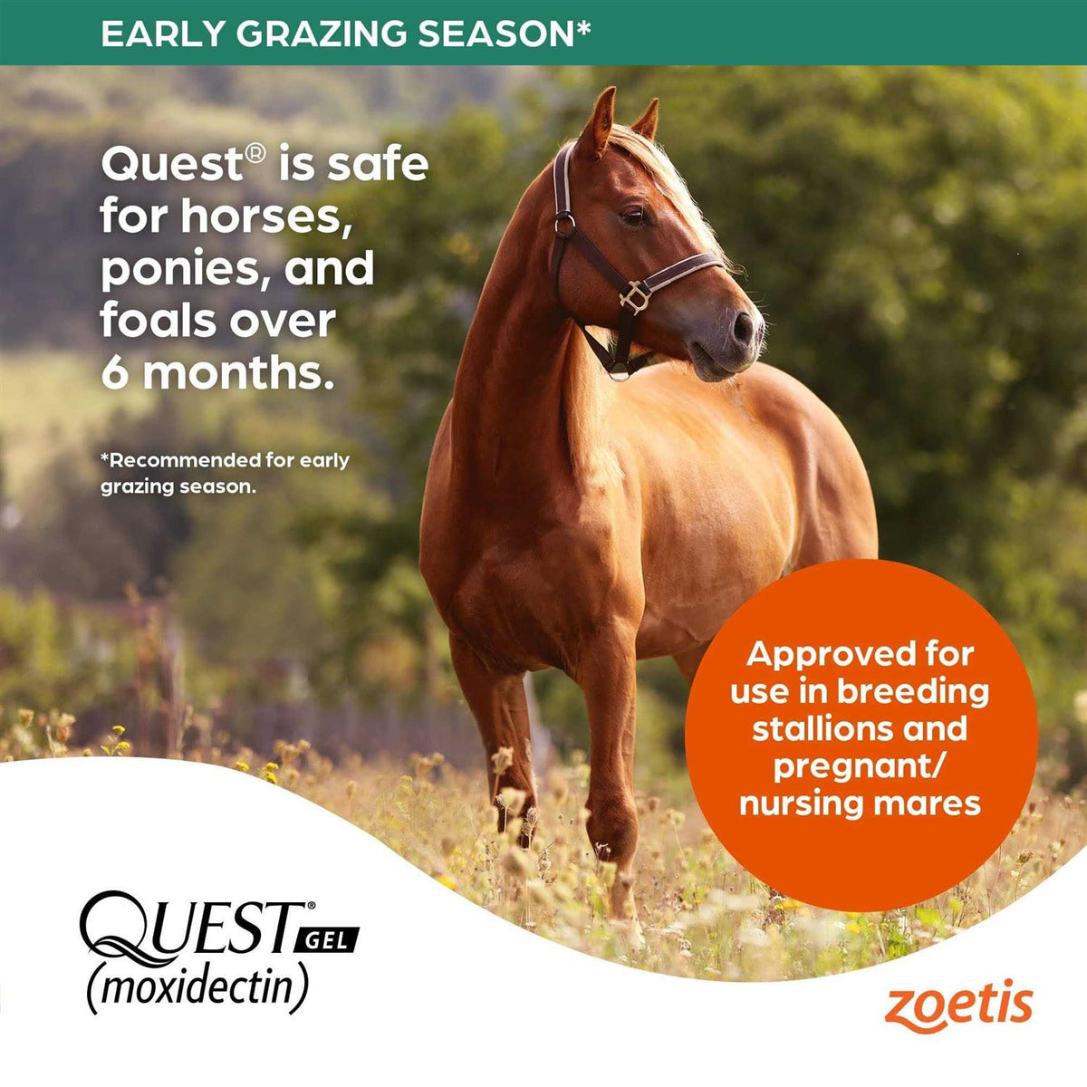 Dewormer Gel C7322