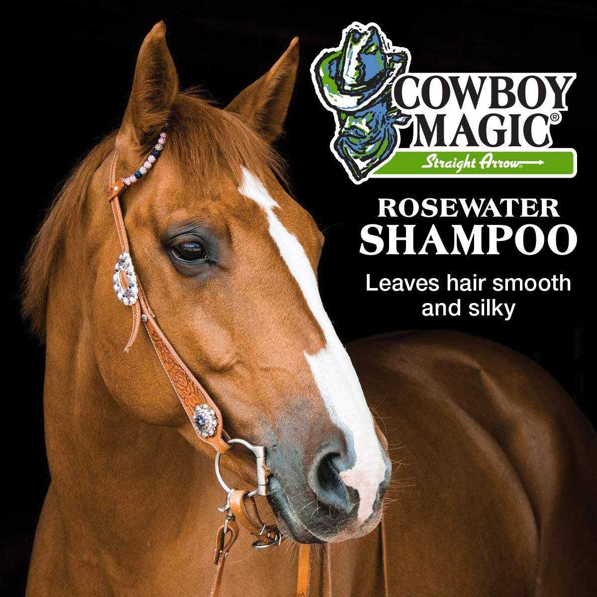 Shampoo + Conditioner 32 Ounce Bottles Detangler and Shine 4oz F4732