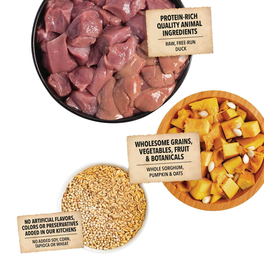Duck & Pumpkin Dry Dog Food D282