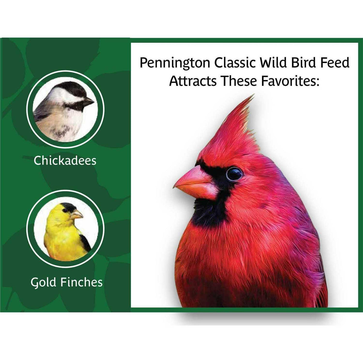 Wild Bird Feed and Seed M355