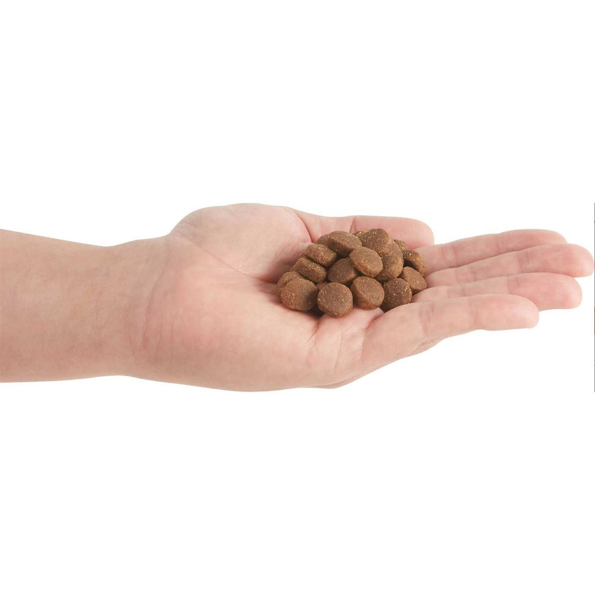 Red Meat Dry Dog Food K5011