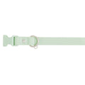Dog Collar A6267