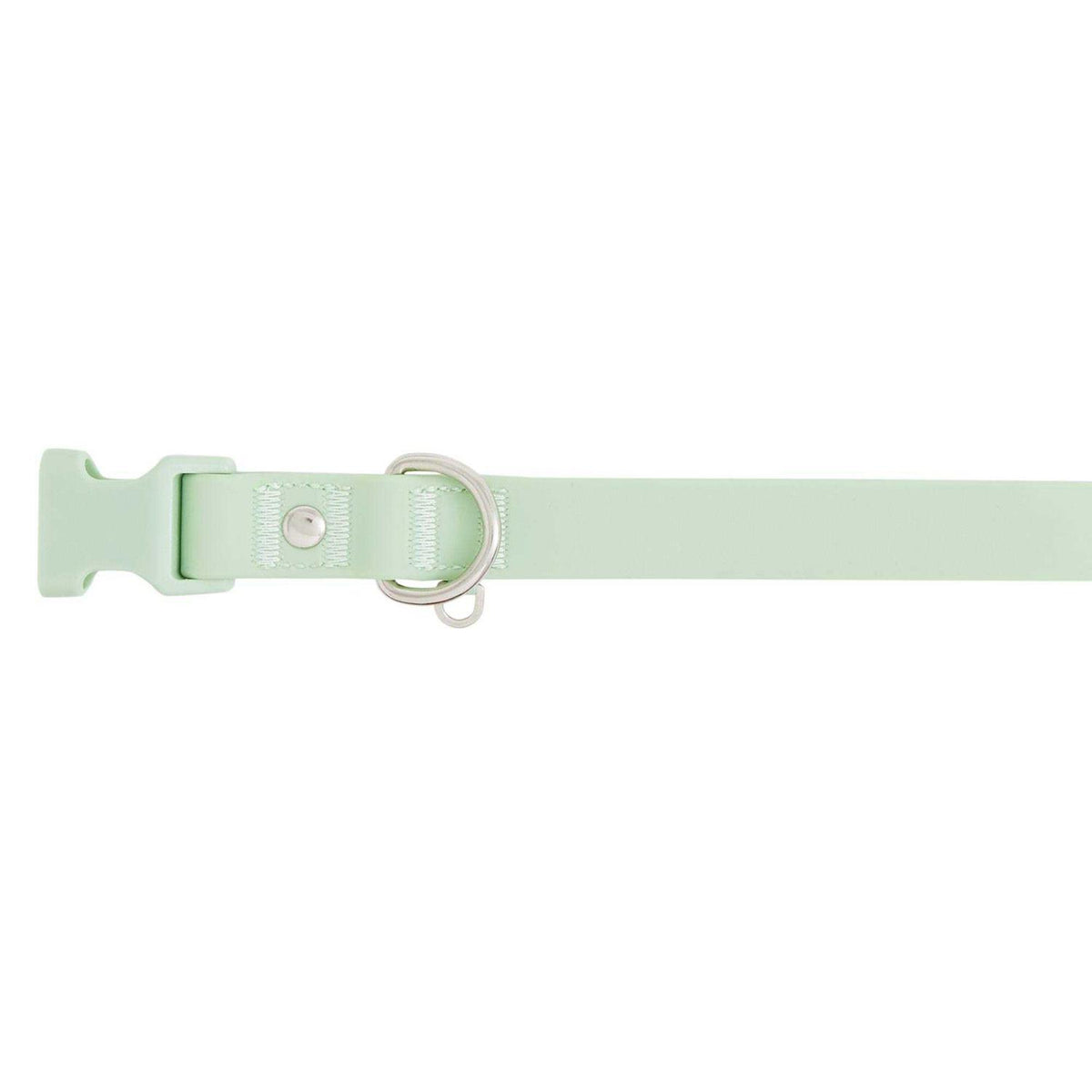Dog Collar A6267