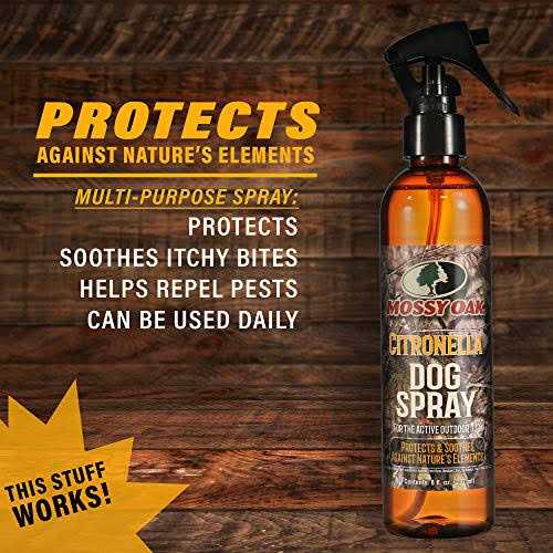 Citronella Dog Spray N41032