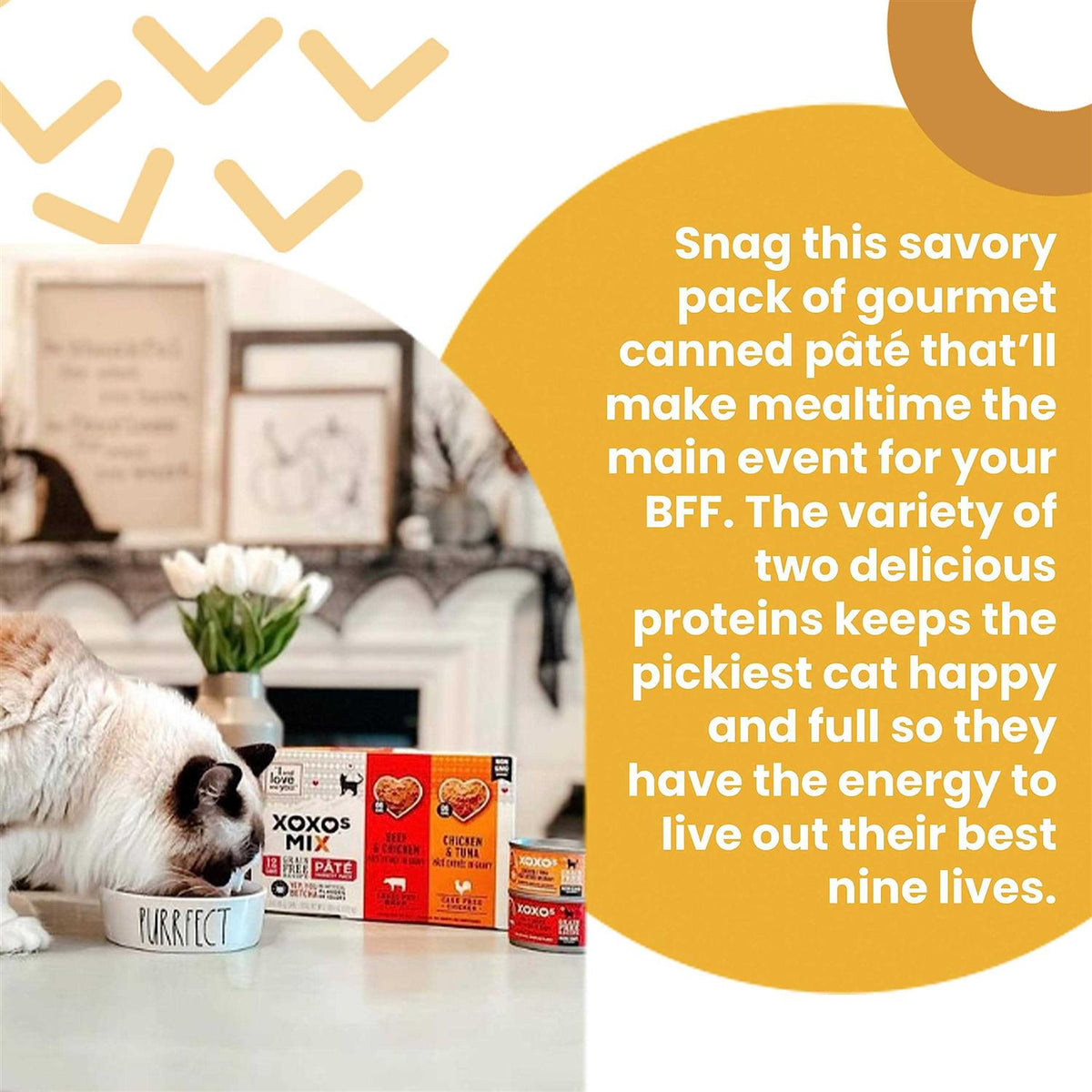 Tuna Pate Cat Food E89818