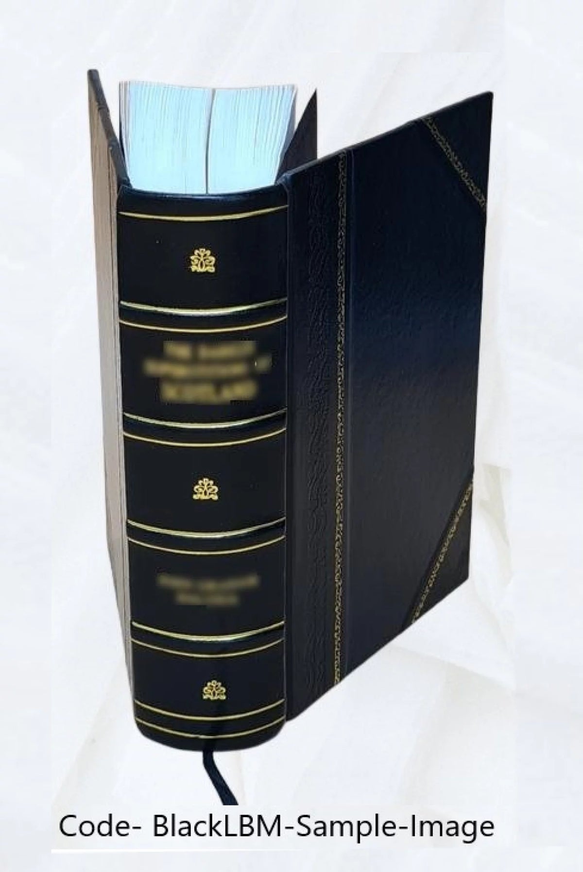 Electric Law Treatise Leather Bound M601295
