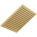 Square Raincan Showerhead Polished Gold B511346