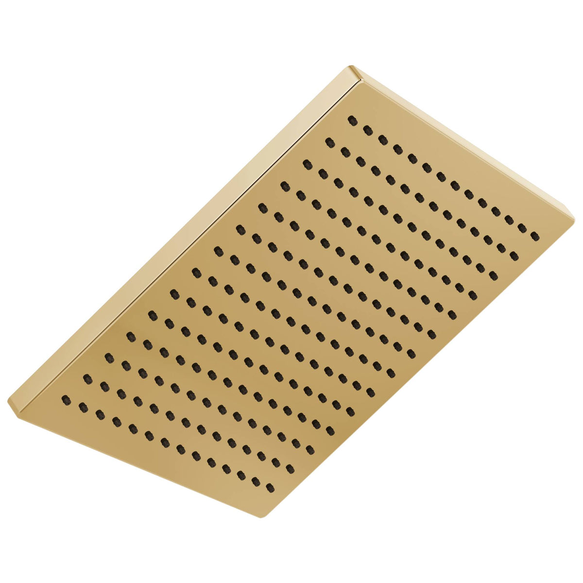 Square Raincan Showerhead Polished Gold B511346