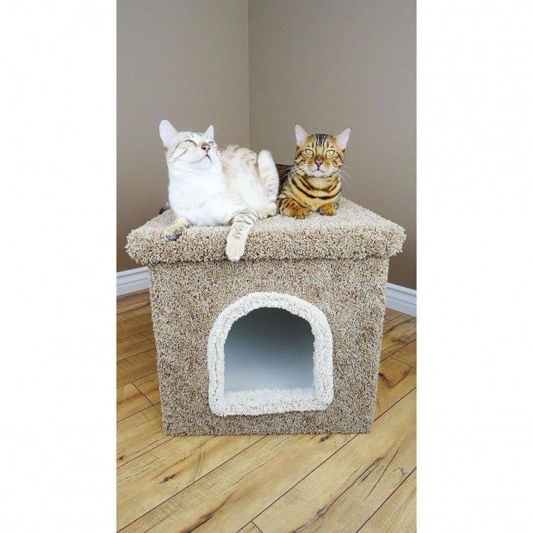 Solid Wood Cat Condo Y377