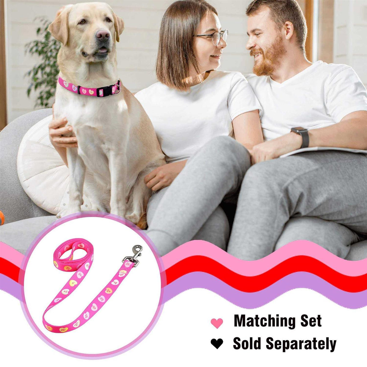 Valentines Day Heart Dog Collar S62594