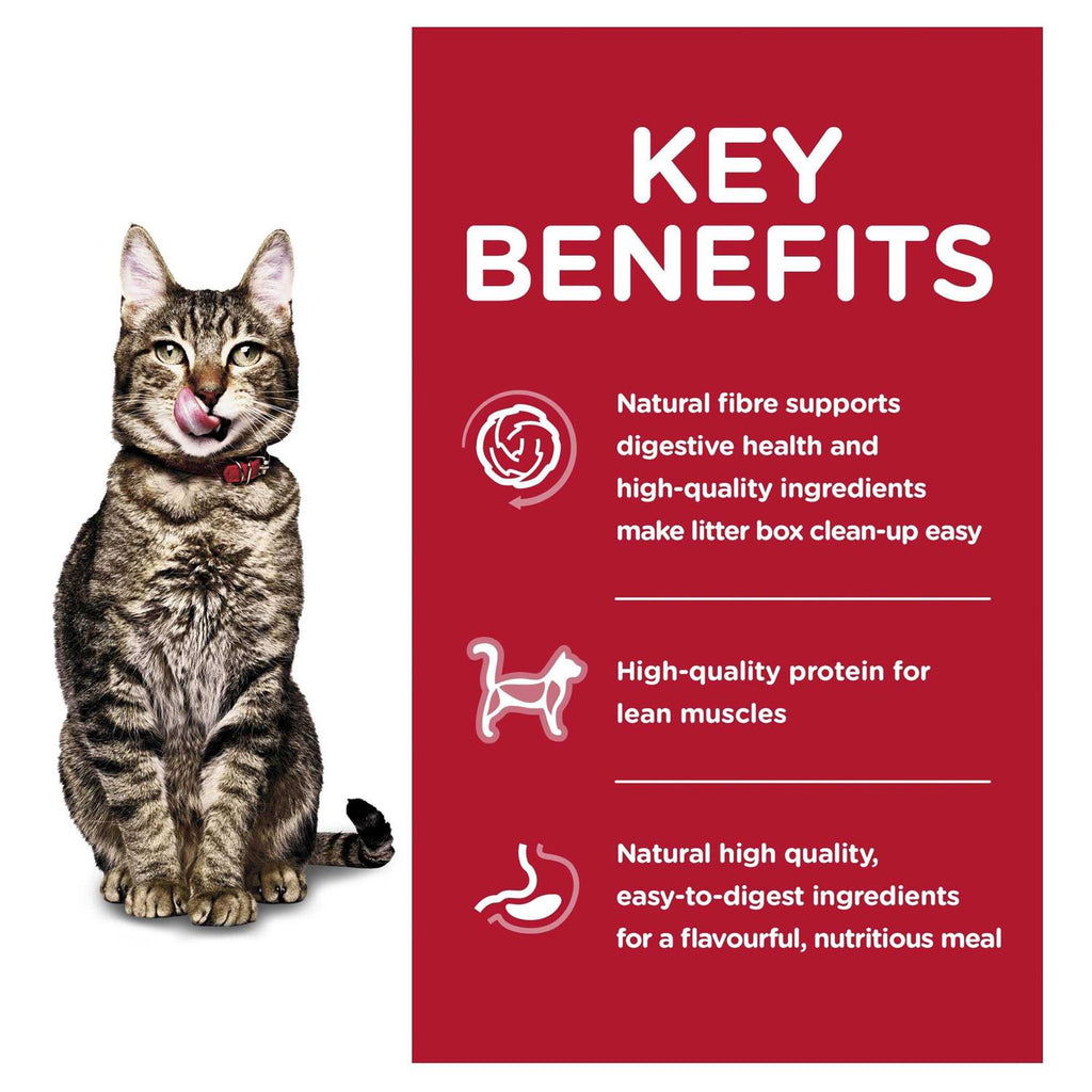 Adult 7+ Indoor Dry Cat Food P4749