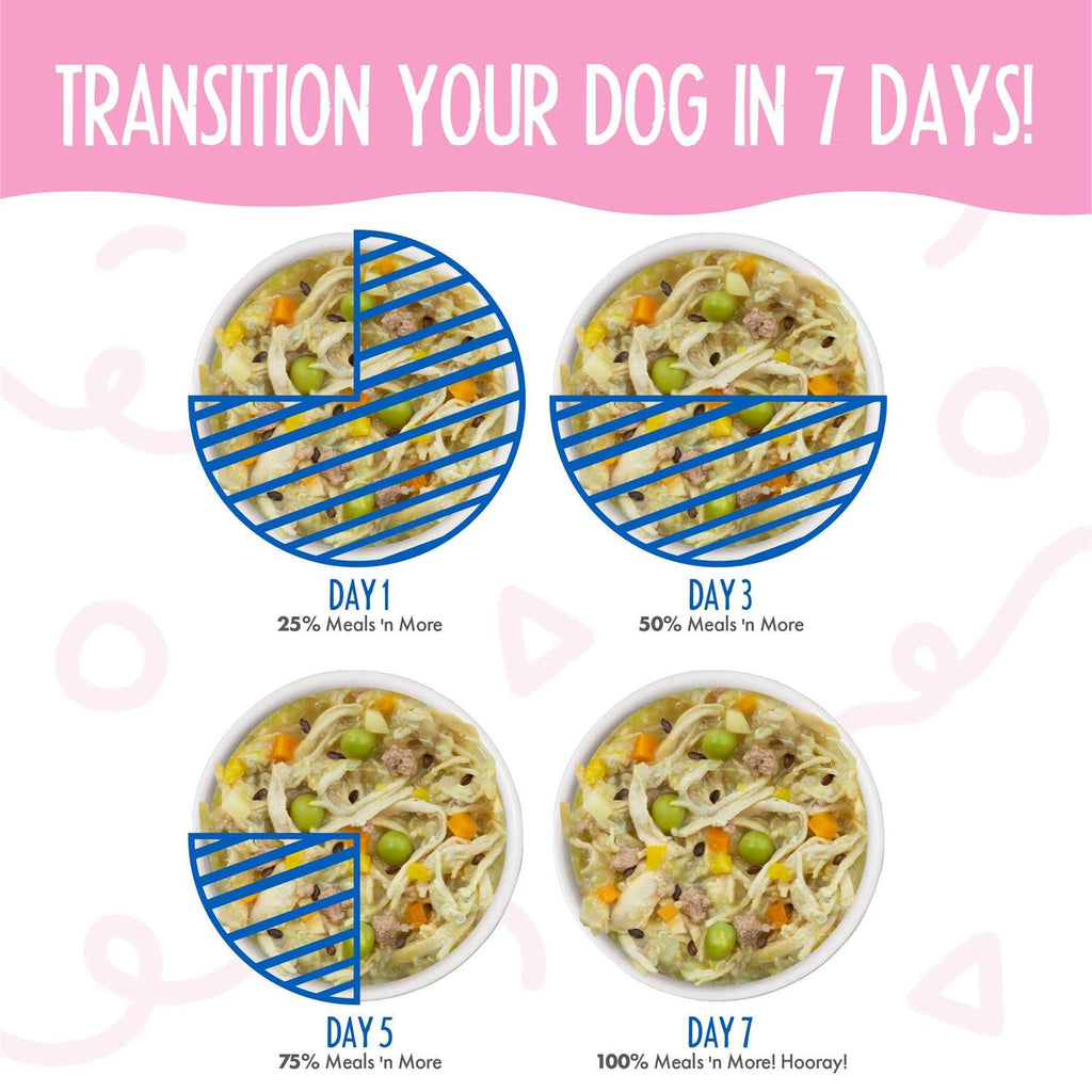Dog Variety Pack J989