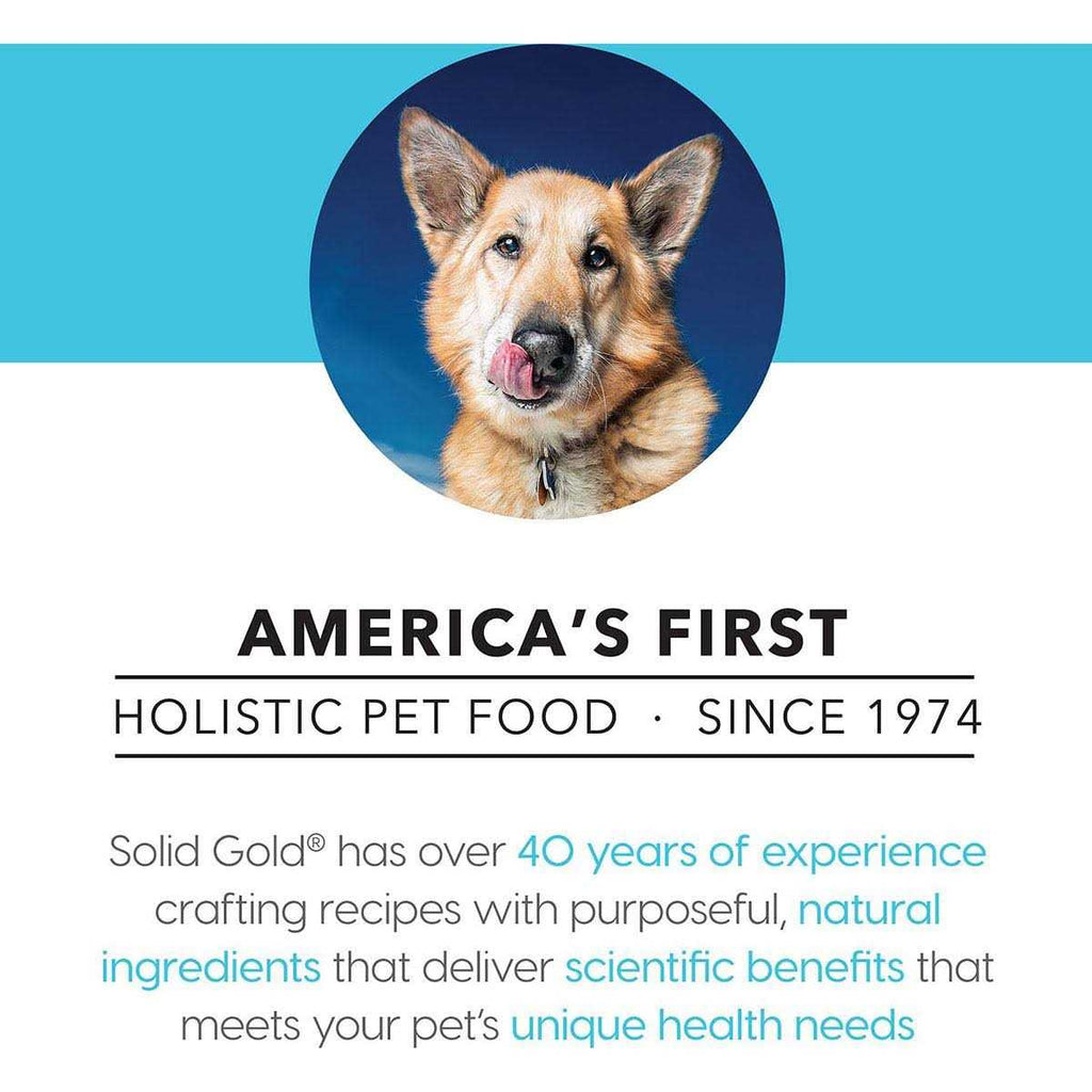 Solid Gold Beef Bone Broth with Turmeric Dog Food Topper P8761
