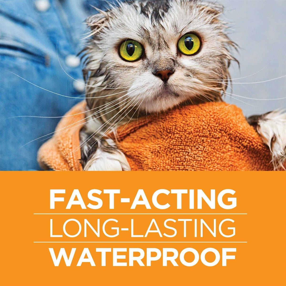 Flea and Tick Prevention for Cats U491