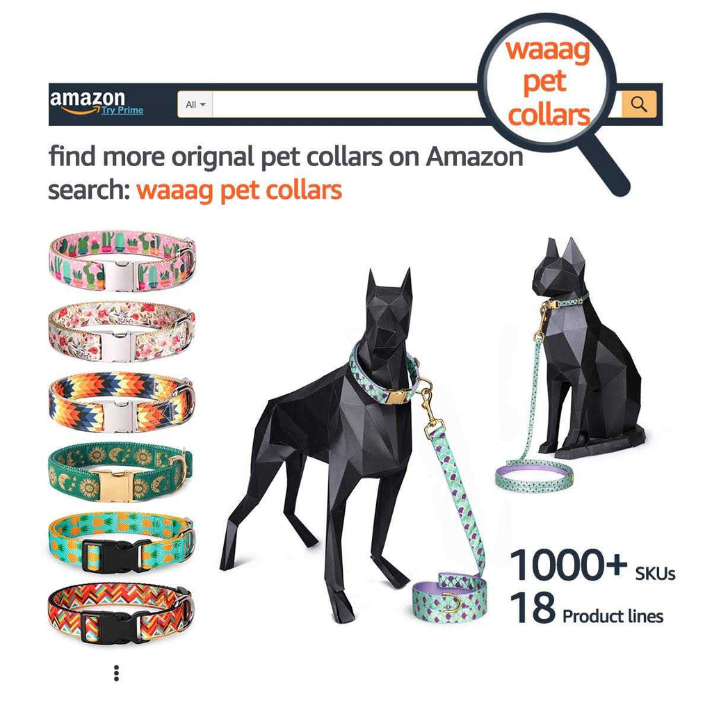 Cat Collar Dog Collar Cat Leash F4097