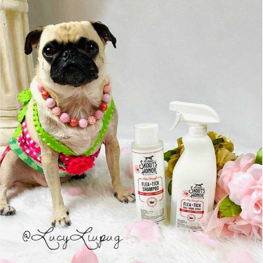 Flea & Tick Shampoo L50382