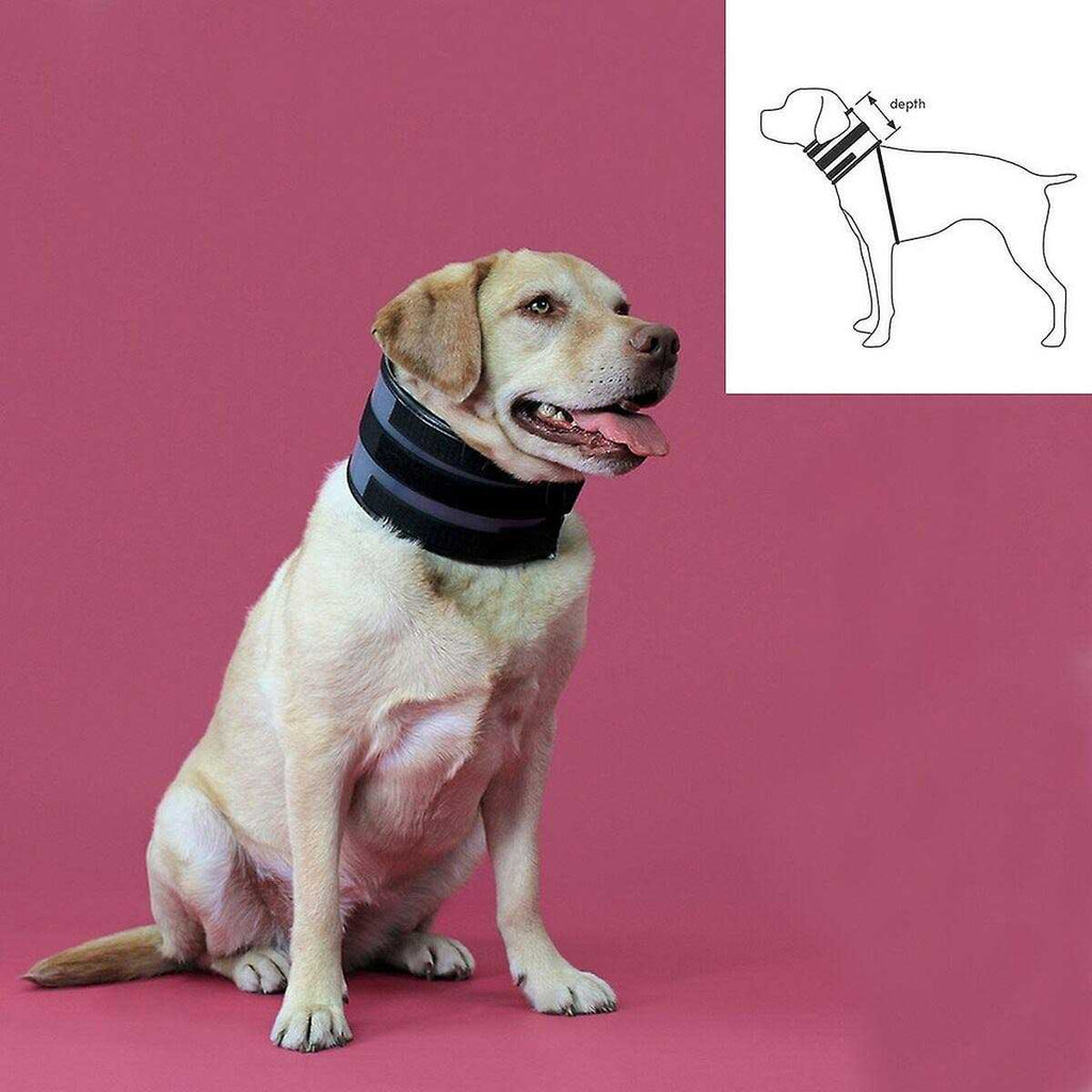 Cervical Collar O537939