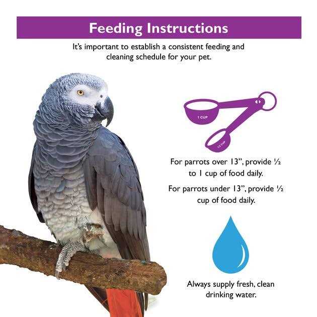 Parrot Food R407930