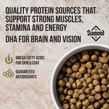 Premium Adult Dog Food S728667