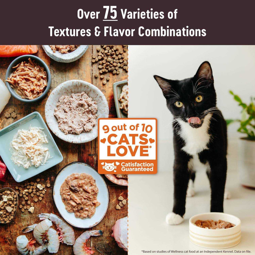 Cat Food V64947