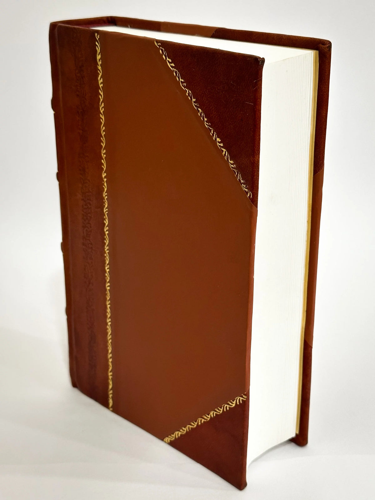 Latin Thesaurus Book Leather Bound N457534