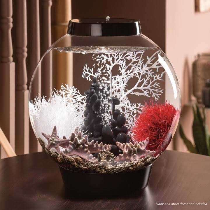 Pet Supplies X528