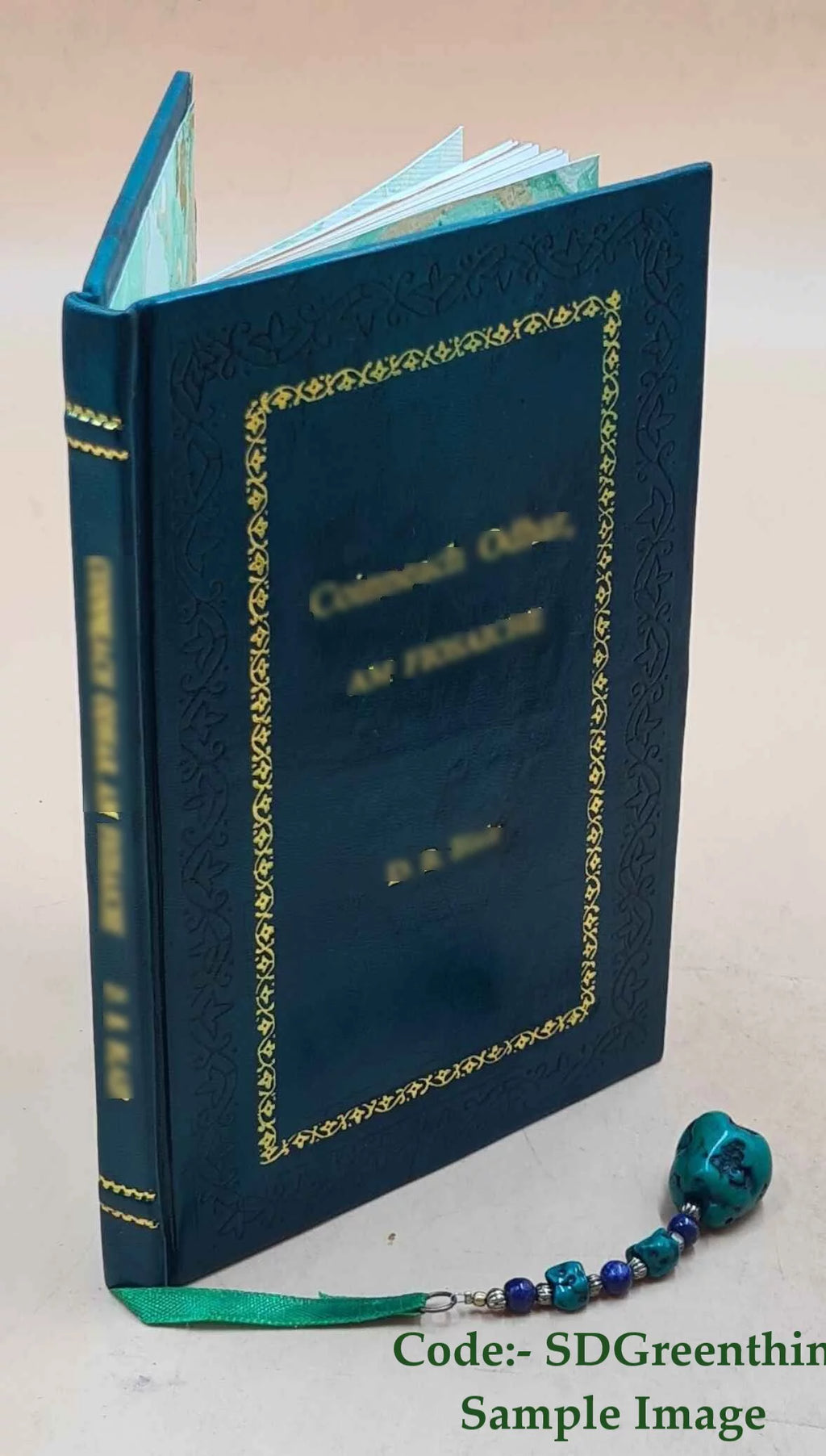 Upper Snake River Valley History Biography Z607