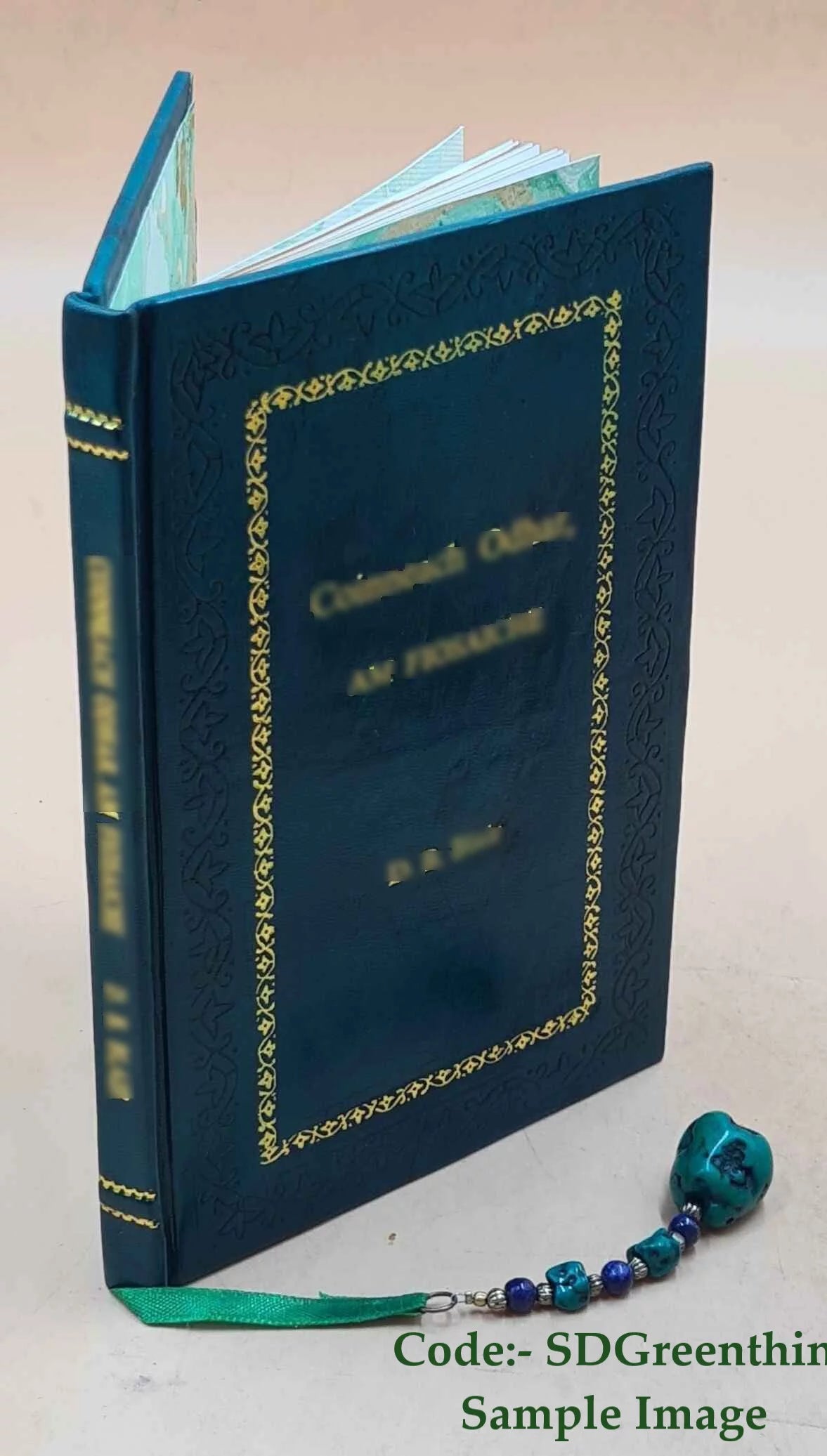 Upper Snake River Valley History Biography Z607
