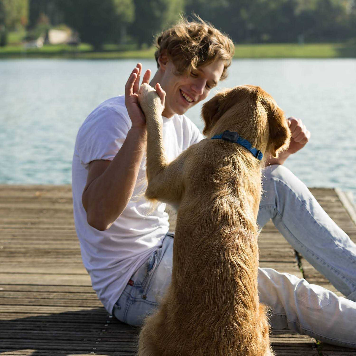 Dog Activity Monitor Health & Fitness Tracker Y906619