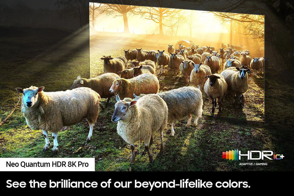 65 Class 8K Smart TV Q77737