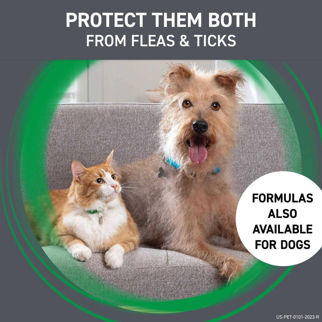 Flea & Tick for Cats J726