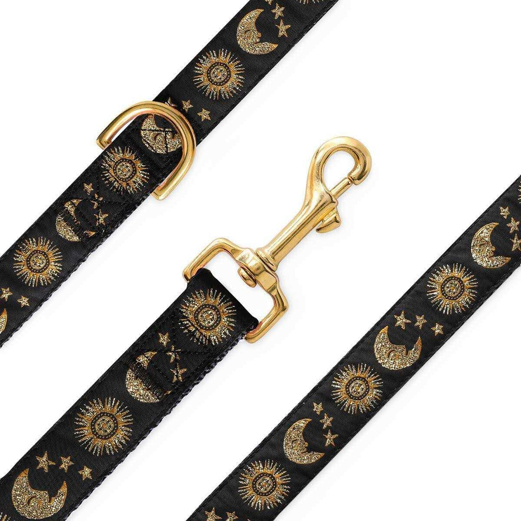 Cat Collar Dog Collar Cat Leash F4097