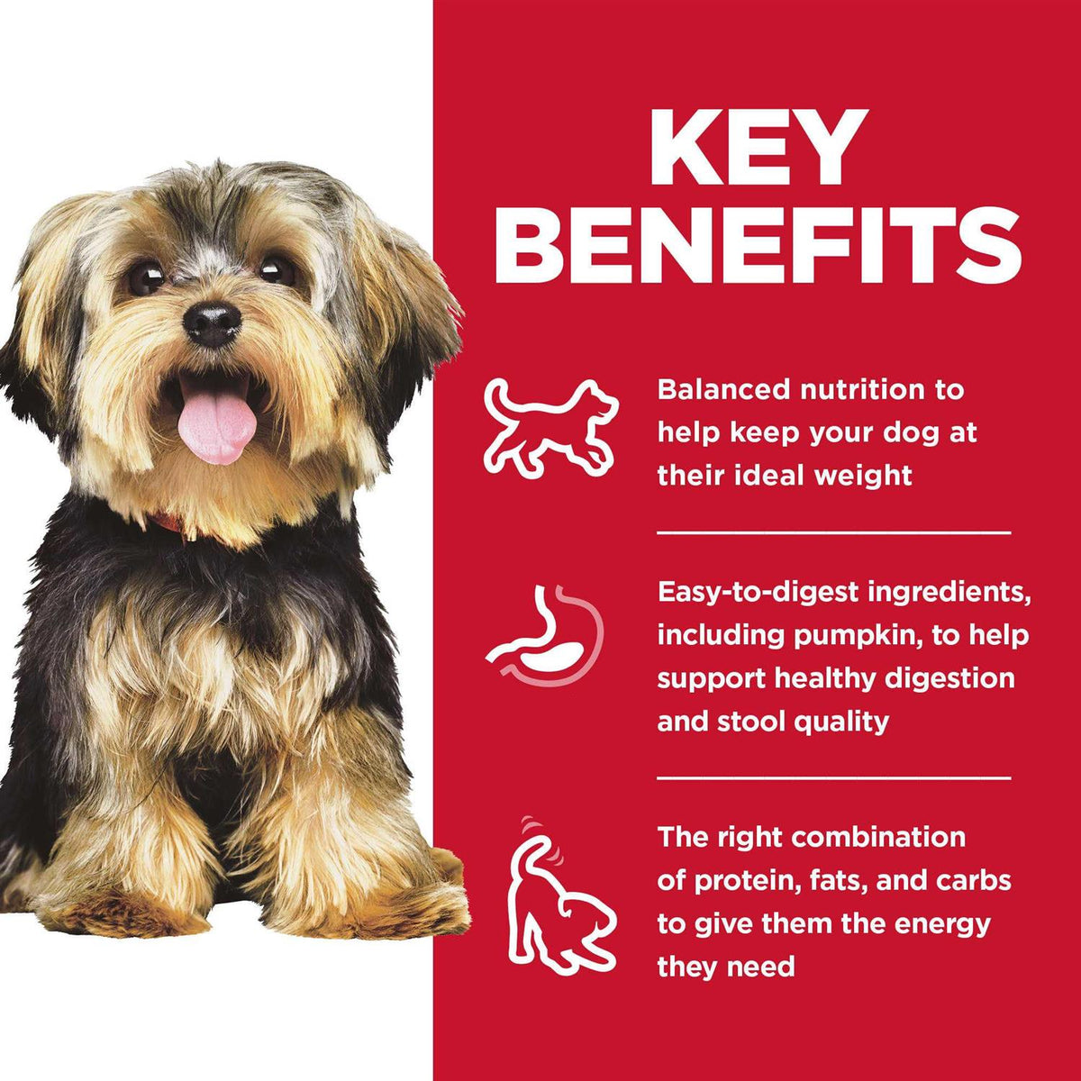 Wet Dog Food Variety Pack U303