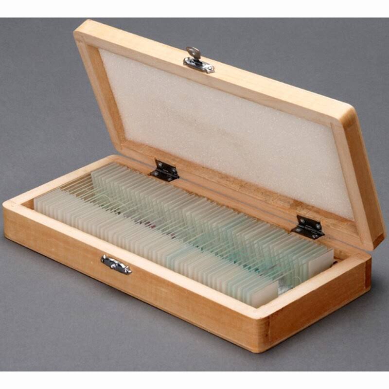 40X-1000X Metal Frame Student Microscope with ABS Case Z777770