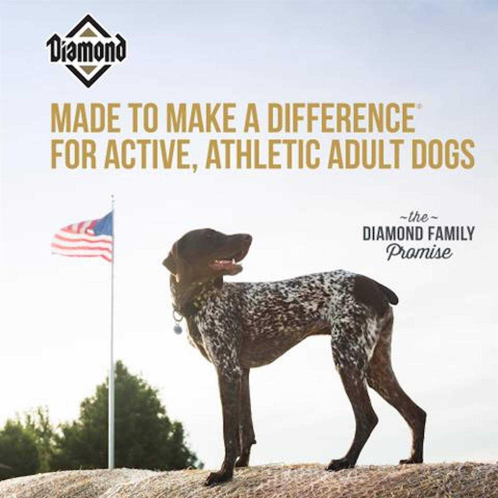 Premium Adult Dog Food S728667