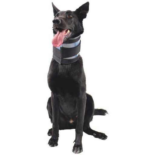 Cervical Collar O537939