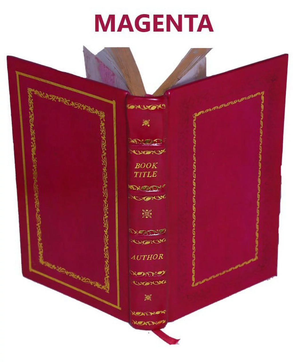 1913 Premium Leather Bound Book O7336