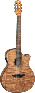 Nylon Acoustic Electric Guitar G36951