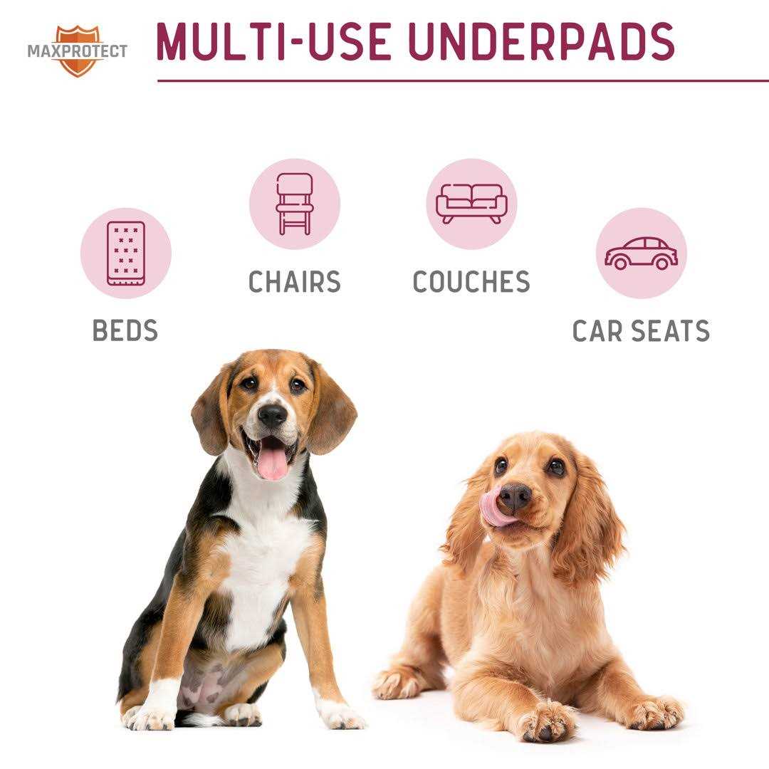 Reusable Pee Pads for Dogs L506172