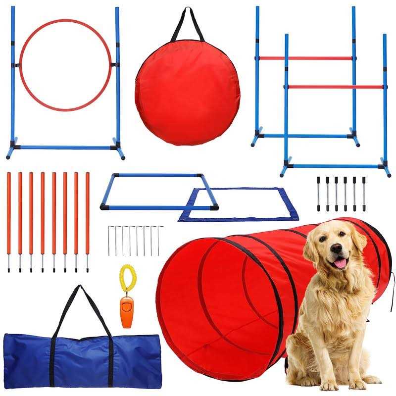 15 Piece Dog Agility Course Backyard Set B746