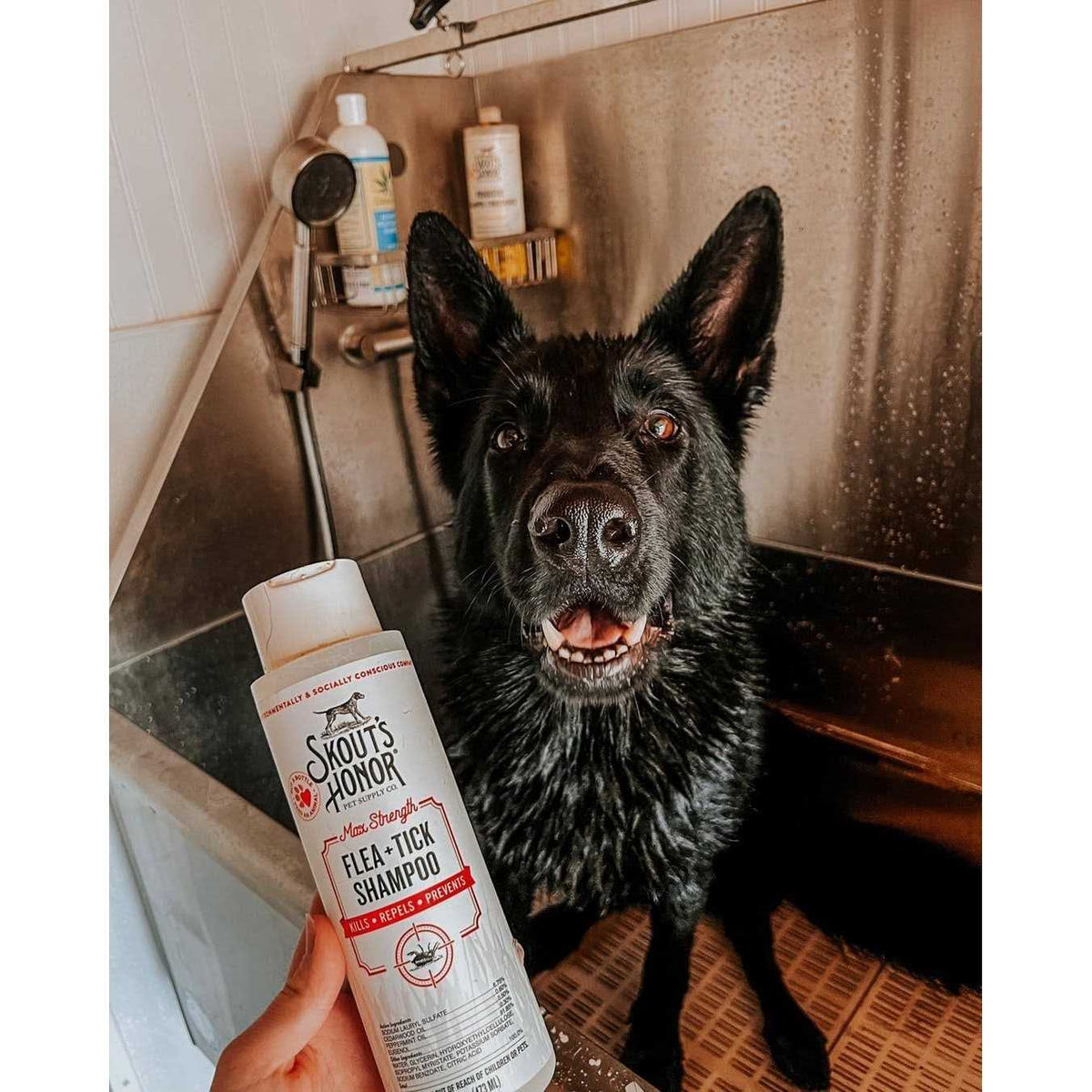 Flea & Tick Shampoo L50382