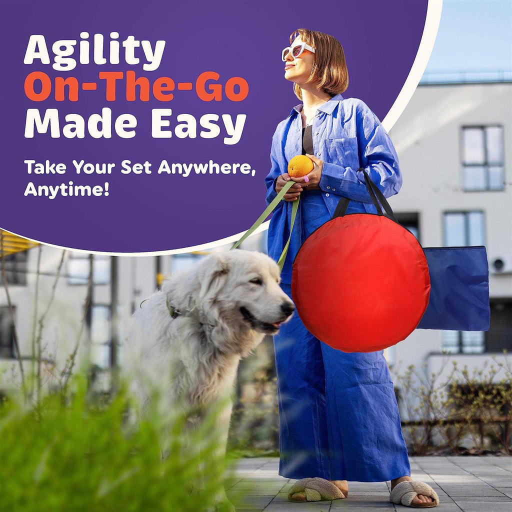 15 Piece Dog Agility Course Backyard Set B746