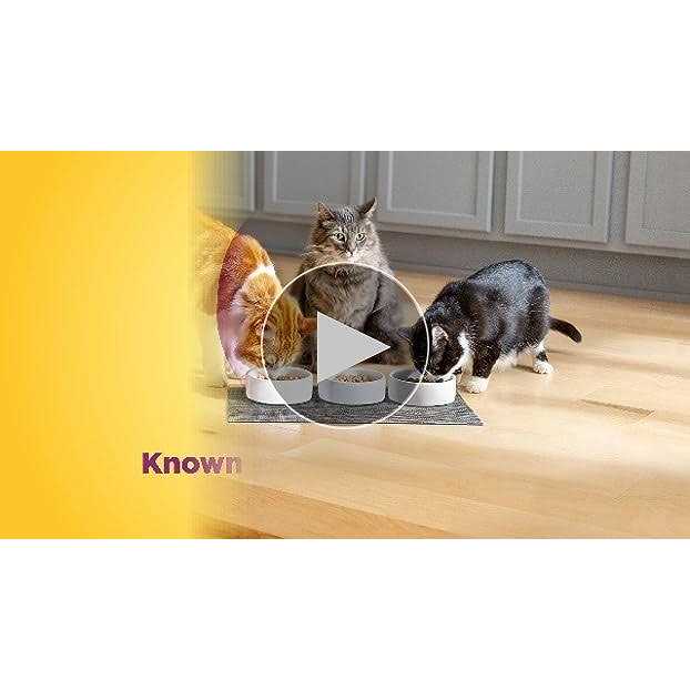 Hairball Control Dry Cat Food R1616