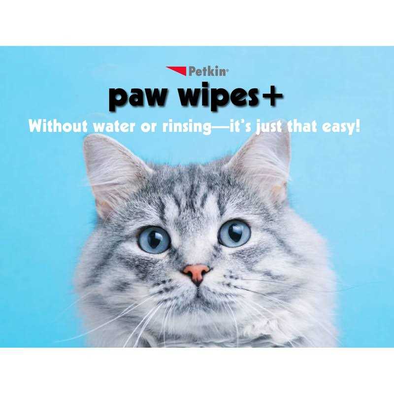 Chlorhexidine Antiseptic Dog & Cat Wipes B9143