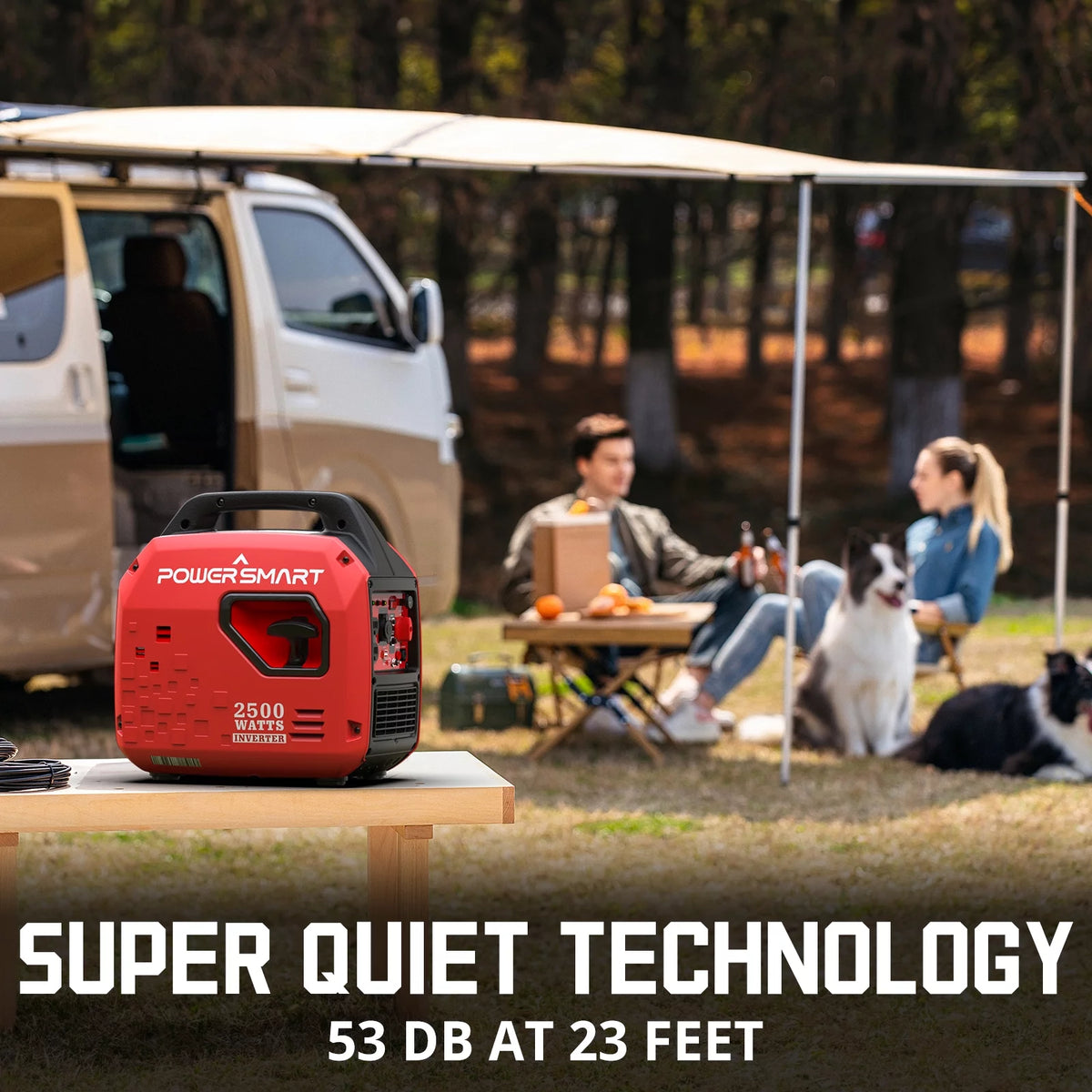 2500W Portable Inverter Gas Generator B667