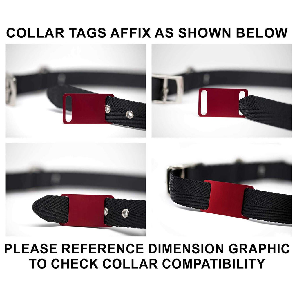 Slide-On Pet ID Tag Collar Tag D78209
