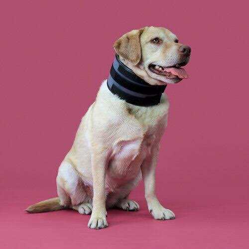 Cervical Collar O537939