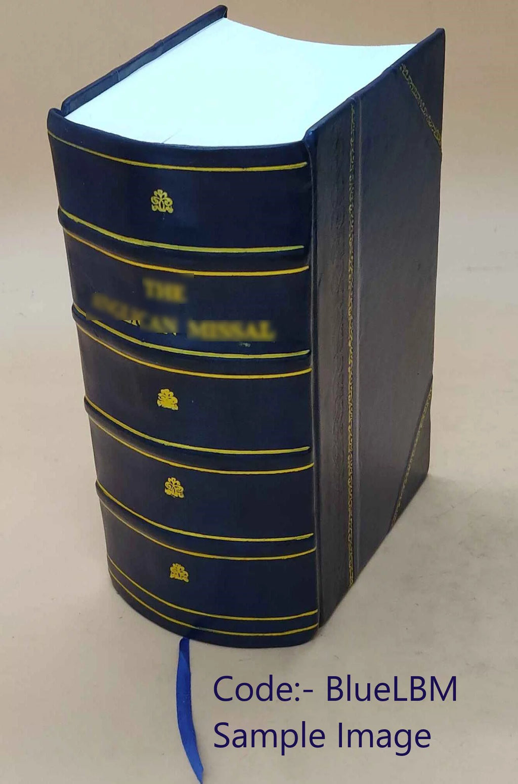 Leather Bound Q310285