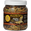 Bearded Dragon Medley Treat K12660